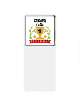 Лучший СТЮАРД года