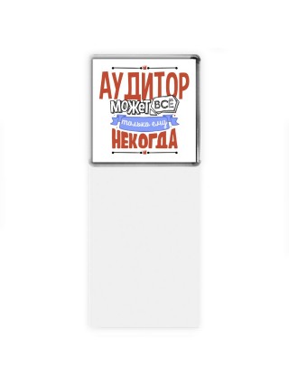 аудитор может всё, только ему некогда