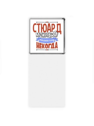 стюард может всё, только ему некогда