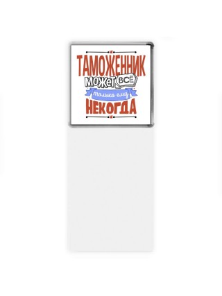 таможенник может всё, только ему некогда