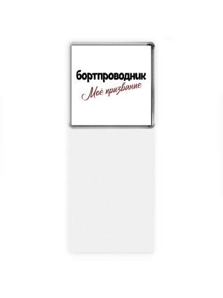 бортпроводник моё призвание