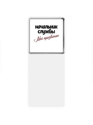 начальник службы моё призвание