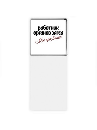 работник органов загса моё призвание
