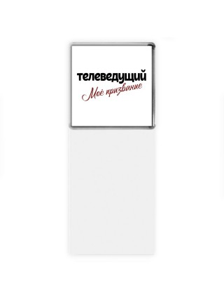 телеведущий моё призвание