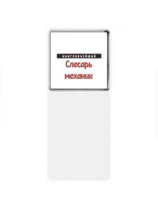 Наиглавнейший слесарь-механик