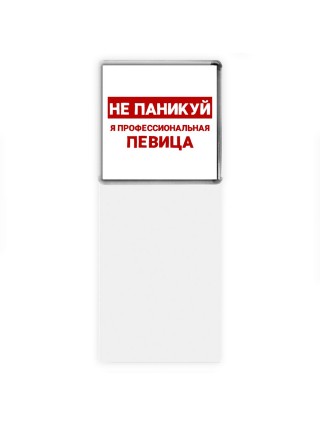 Не паникуй я профессиональная певица