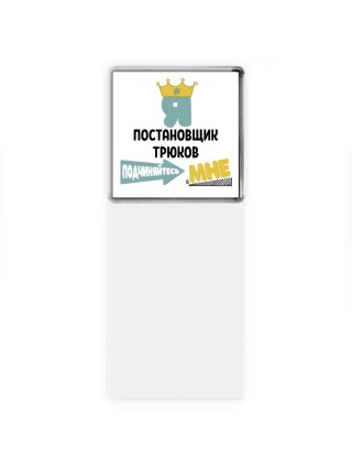 Я постановщик трюков подчиняйтесь мне