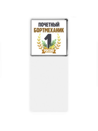 Почетный бортмеханик