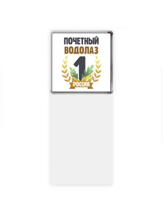 Почетный водолаз