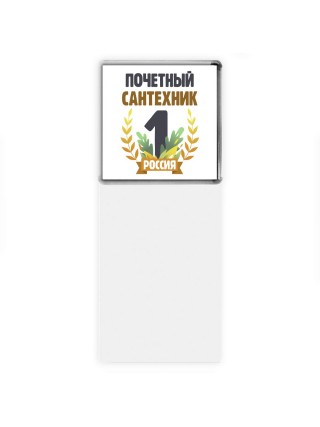 Почетный сантехник