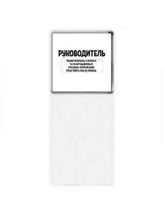 руководитель решаю проблемы, о которых ты не догадываешься способом, который даже представить себе не можешь