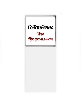 Собственно, Web Программист