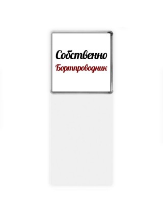 Собственно, Бортпроводник