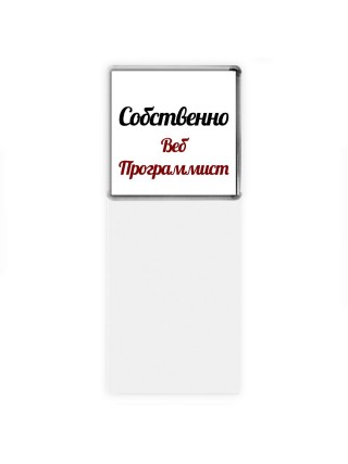 Собственно, Веб Программист