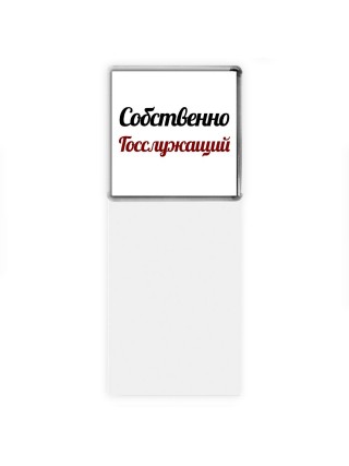 Собственно, Госслужащий