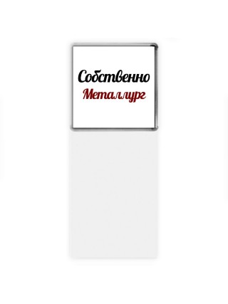 Собственно, Металлург