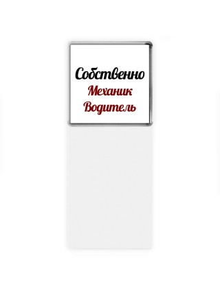 Собственно, Механик Водитель