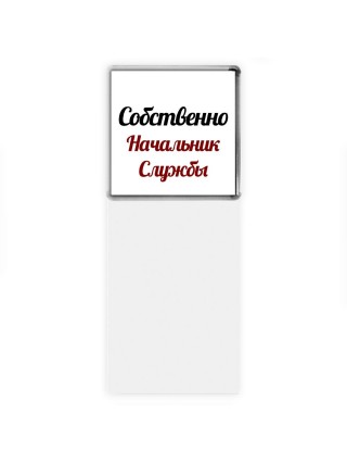 Собственно, Начальник Службы