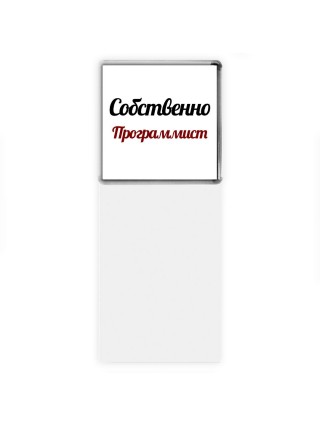 Собственно, Программист