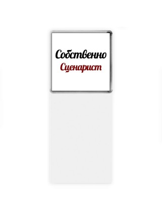 Собственно, Сценарист