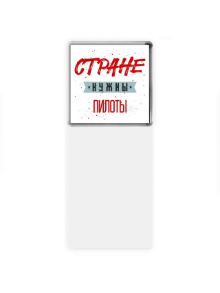 Стране нужны пилоты