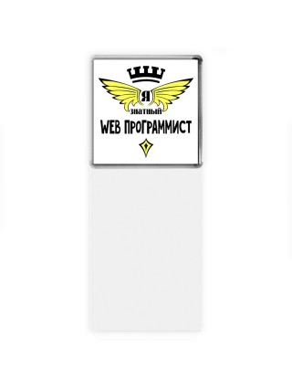 Я знатный web программист