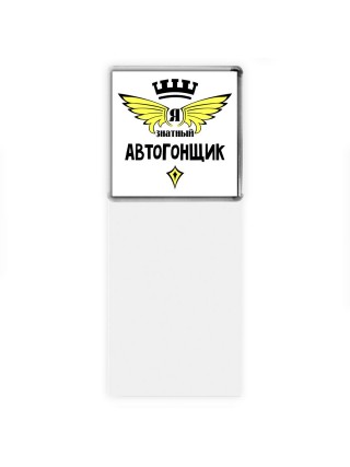 Я знатный автогонщик