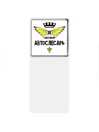 Я знатный автослесарь