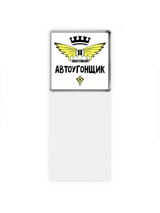 Я знатный автоугонщик