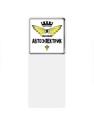 Я знатный автоэлектрик