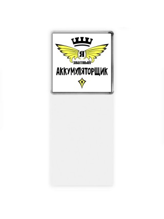 Я знатный аккумуляторщик