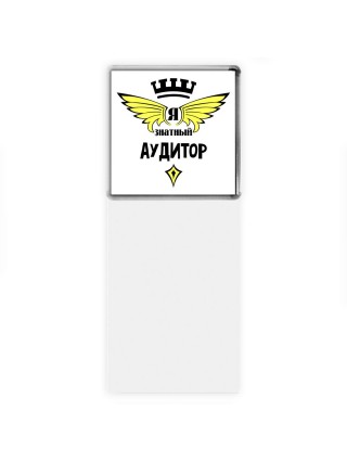 Я знатный аудитор