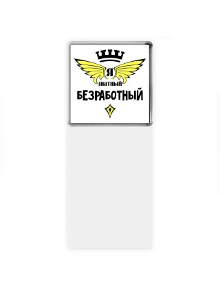 Я знатный безработный