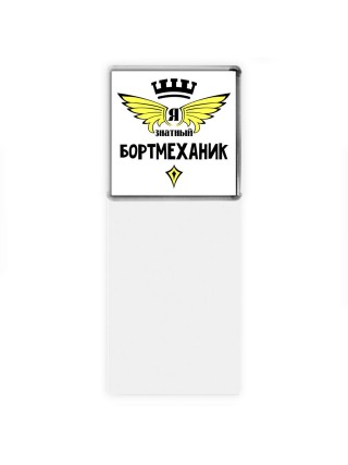 Я знатный бортмеханик
