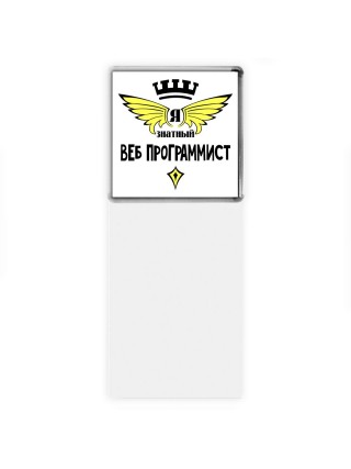 Я знатный веб программист