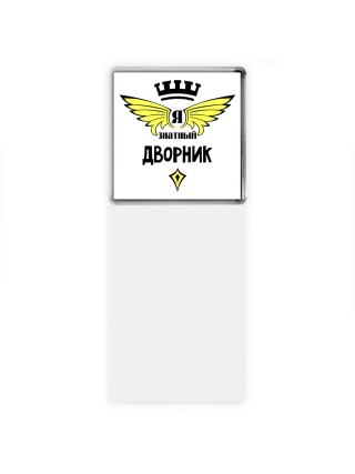 Я знатный дворник