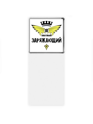 Я знатный заряжающий