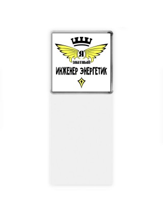 Я знатный инженер энергетик