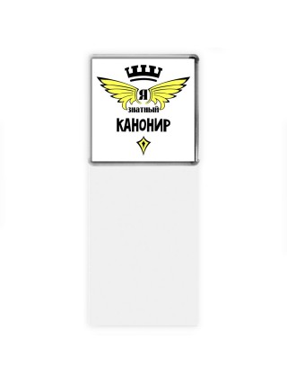 Я знатный канонир