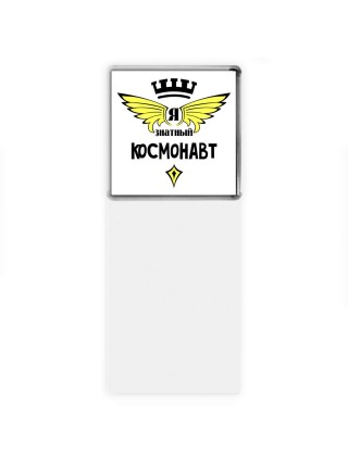 Я знатный космонавт