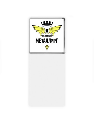 Я знатный металлург