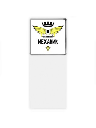 Я знатный механик