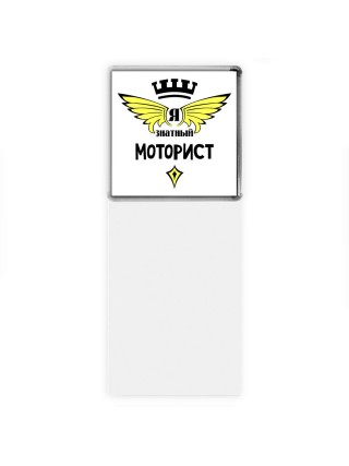 Я знатный моторист