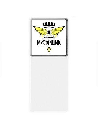 Я знатный мусорщик
