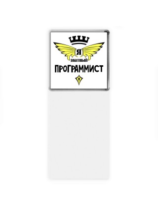 Я знатный программист