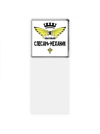 Я знатный слесарь-механик