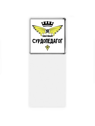 Я знатный сурдопедагог