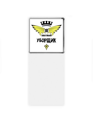 Я знатный уборщик