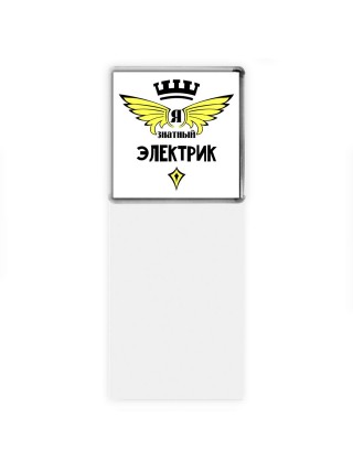 Я знатный электрик