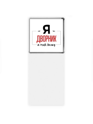 Я дворник я так вижу